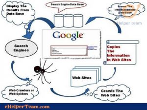 search engine spiders crawl sites