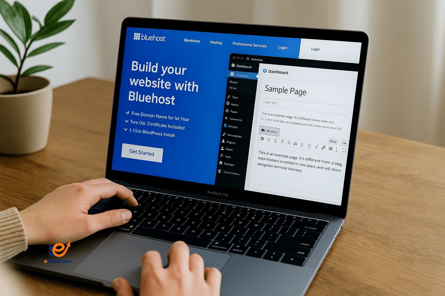 Bluehost company