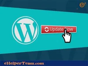 Seven important tips to protect your WordPress site from hackers 4 WordPress updating