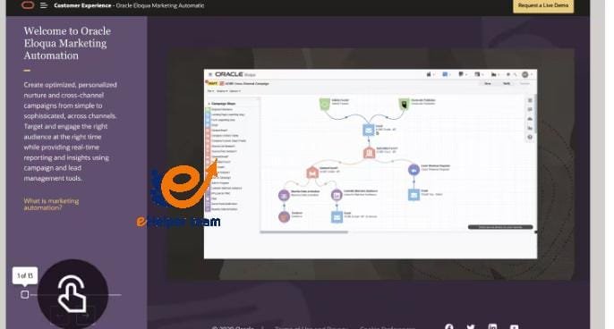 What Is the Software of Marketing Automation? 
