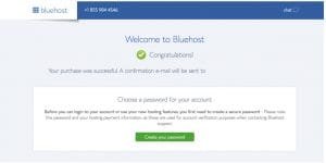 Bluehost web hosting