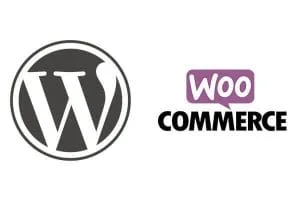 WordPress and WooCommerce to create an online store 8 WordPress and WooCommerce to create an online store