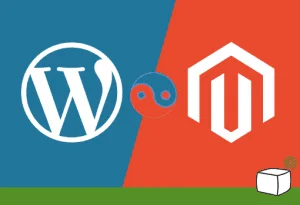 All you need to know about Magento WordPress 5 Magento WordPress
