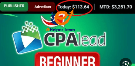 How does CPAlead work? and how to earn money 2 CPAlead vs. Other Networks
