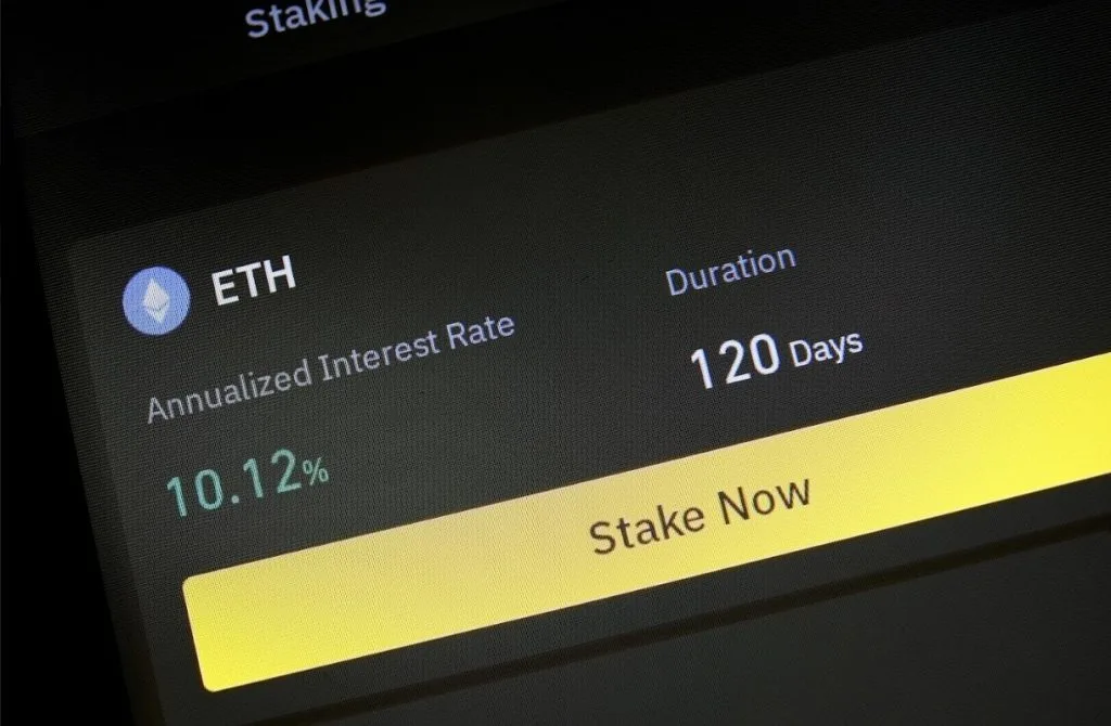 Profit In A Crypto Bear Market