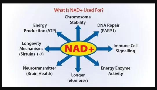 What Are NAD Infusions? 