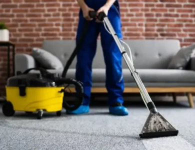 Battling Mold in Florida Homes