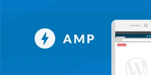 AMP on WordPress - 3 techniques to active it 19 AMP on WordPress - 3 techniques to active it