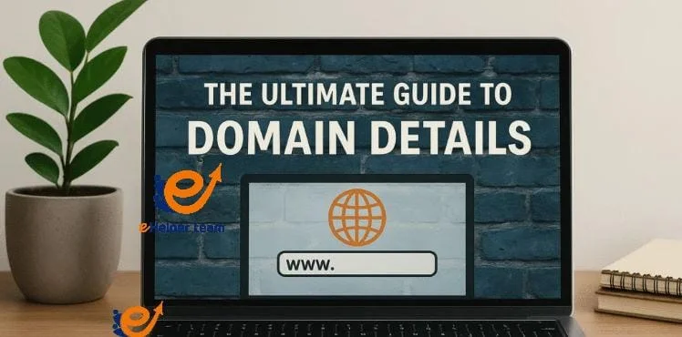  Key Components Found in Domain Details