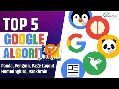 Top 5 Google Algorithms Related To SEO | Panda, Penguin,  Hummingbird, Page Layout & RankBrain